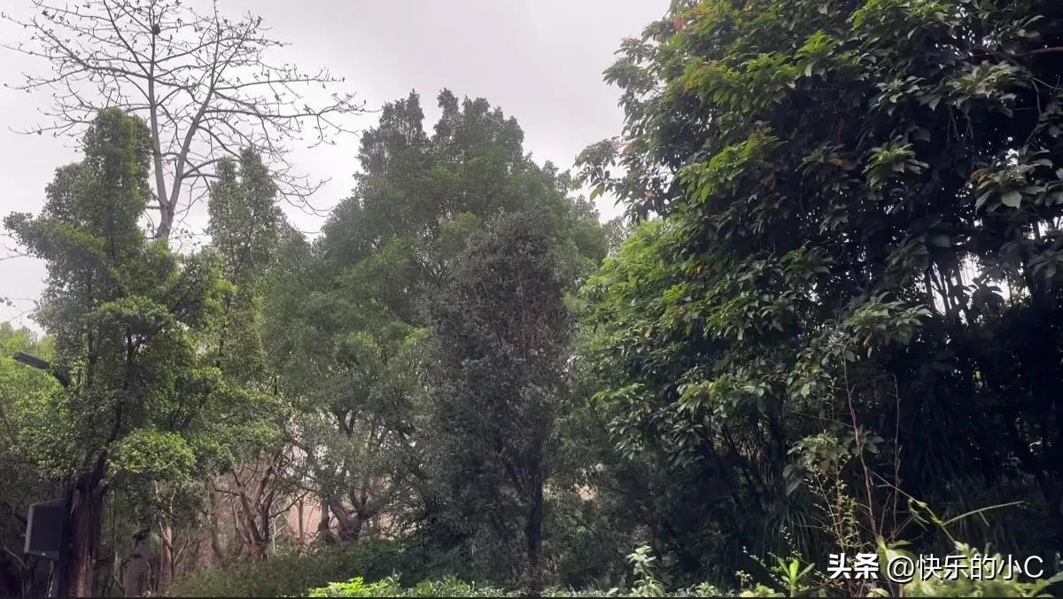 说真的，刚走出校门那会儿，我也想过这个问题。

面试了几轮才明白，学历确实是块敲