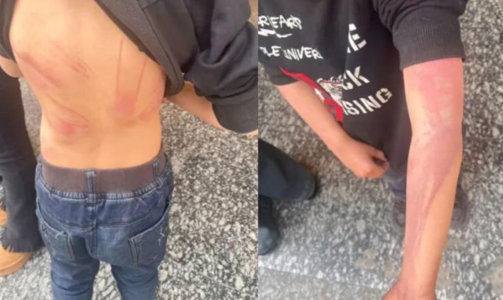 2024年，湖北，丁女士离婚后，每次去前夫家看望一对儿女都被拒绝，丁女士放心不下