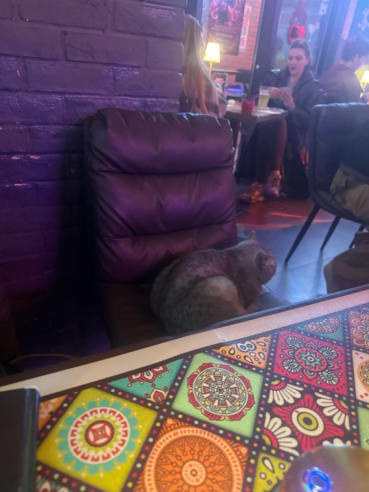 西餐厅的菜，不仅好看，而且好吃😋
晚上来西餐厅感受一下，菜是色香味俱全，悄悄拍