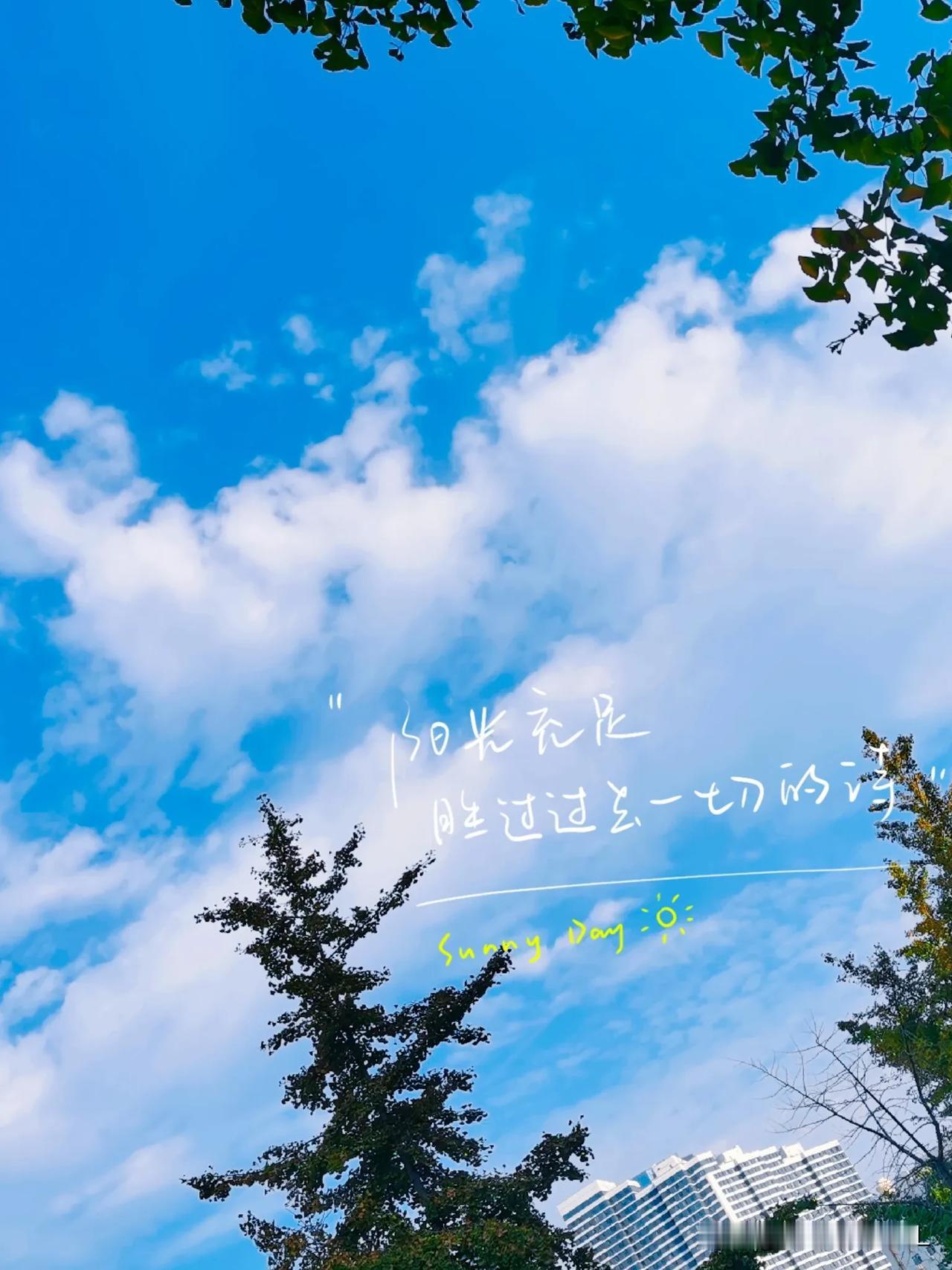 一一天空的云朵

一一是一道美丽的风景

一一【原创摄影】

#夏日生活打卡季#