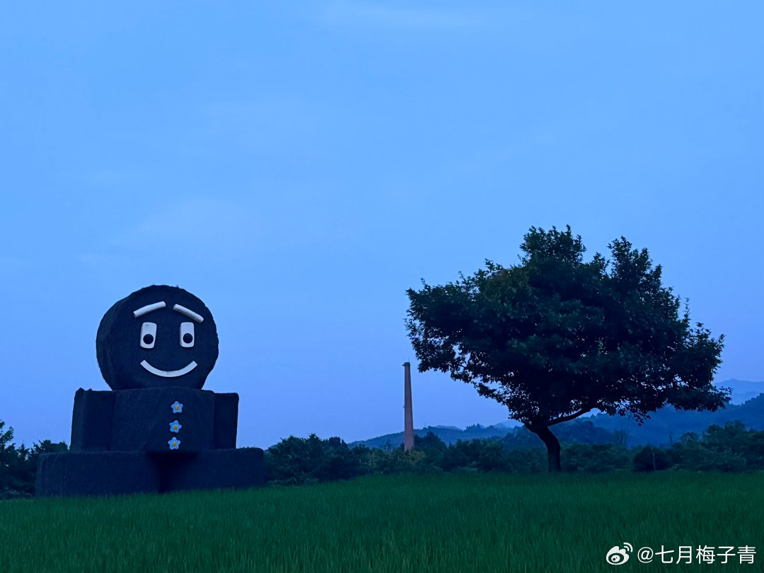 大家今天心情都不好，我觉得我闭上嘴少说两句话死不了。七月梅子青