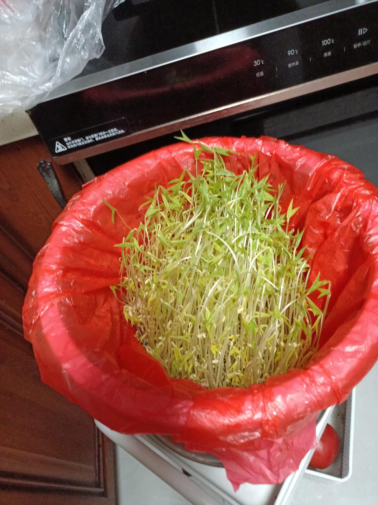 今天中午说到买了一块钱的绿豆芽，居然得到那么多网友的关注，有点意外。
     