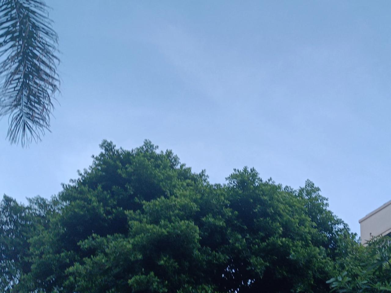 今天天气晴朗
阳光明媚
有点热
忙忙碌碌的
现在得闲打打卡
记录生活记录美
哈哈