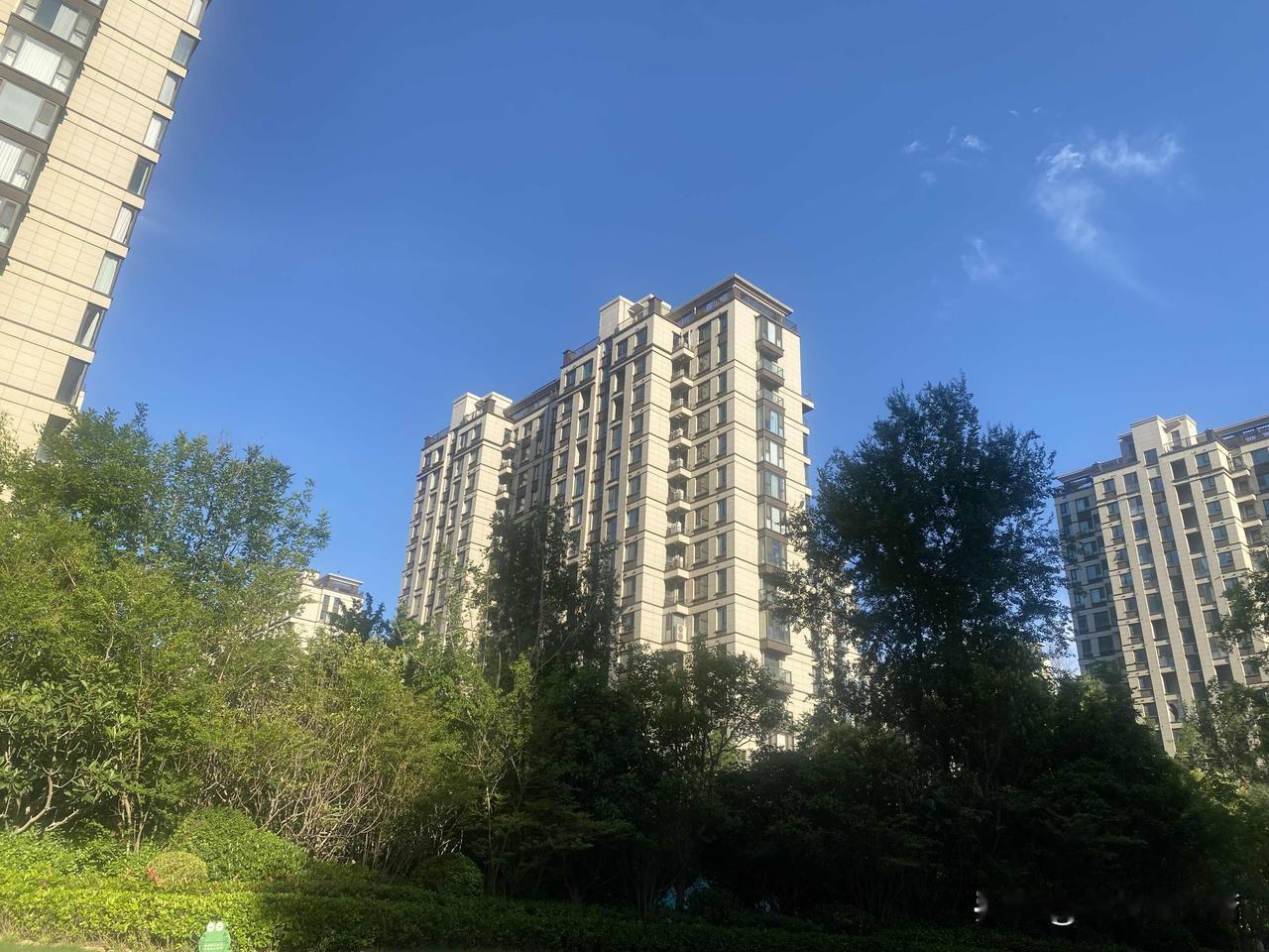 真心话茶局阳光洒满的绿意盎然小区，静谧美好！🌞🌳