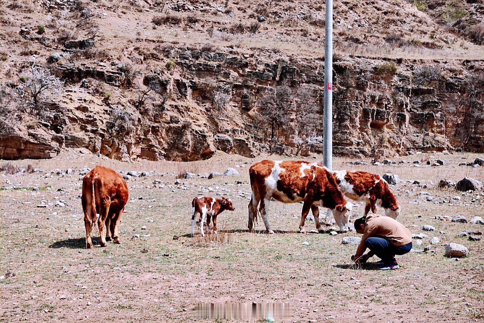 终于有信号了！刚才山顶下冰雹，差点被雷劈到，已经感觉到头皮嗞嗞响，是电离作用？v