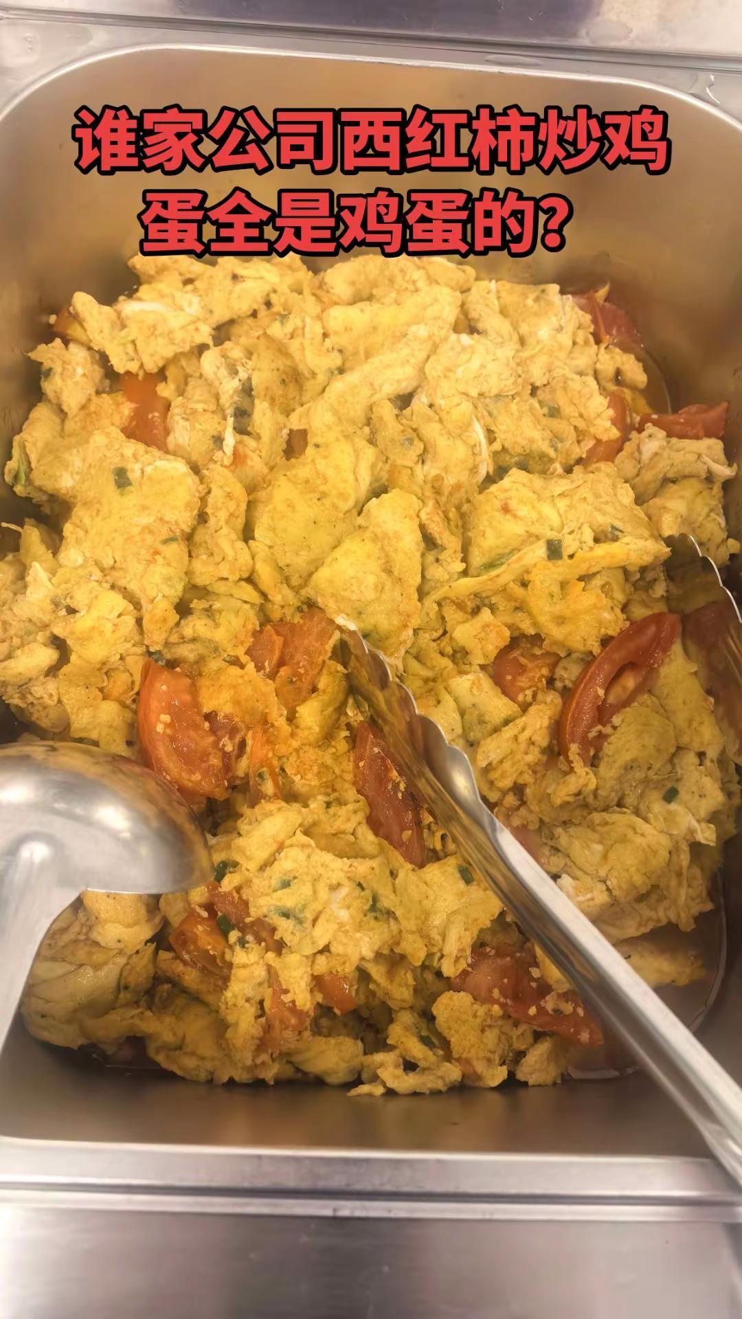 食堂饭菜 食堂干饭记录 食堂美食 好吃的番茄炒鸡蛋