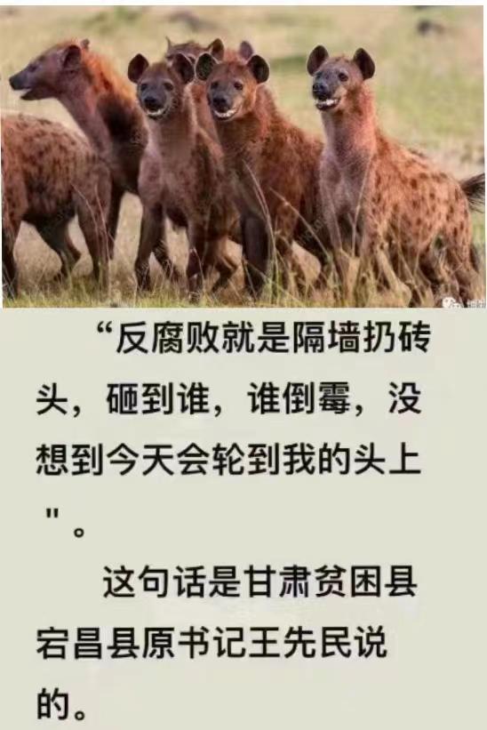 陈潮祖：治疗甲状腺肿瘤的名方[good]海藻玉壶汤（《外科正宗》）【组成】海带2