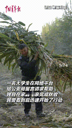 “我们家只有妈妈一人，可以帮忙收一下3亩玉米吗?”新疆于田县在外上学的孩子给警方