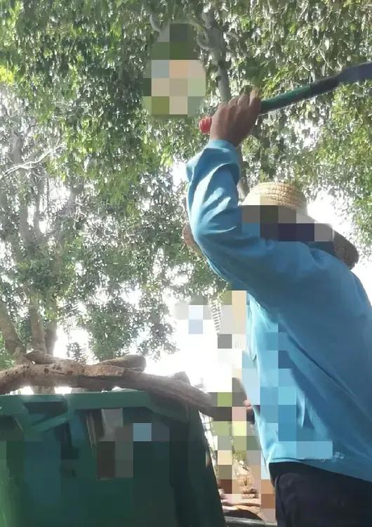 单位绿化工大哥 ，是一位退休再就业人员，大哥为人和善，在公司无论见到谁都主动热情