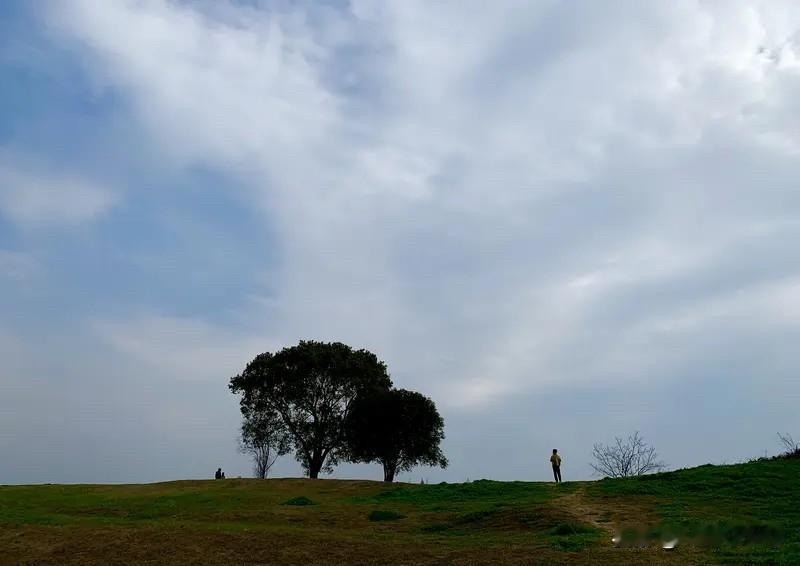 马踏春风里，扬鞭赴绿茵。
花开山色暖，鸟语柳条新。
举目皆成画，邀朋共寻真。
芳