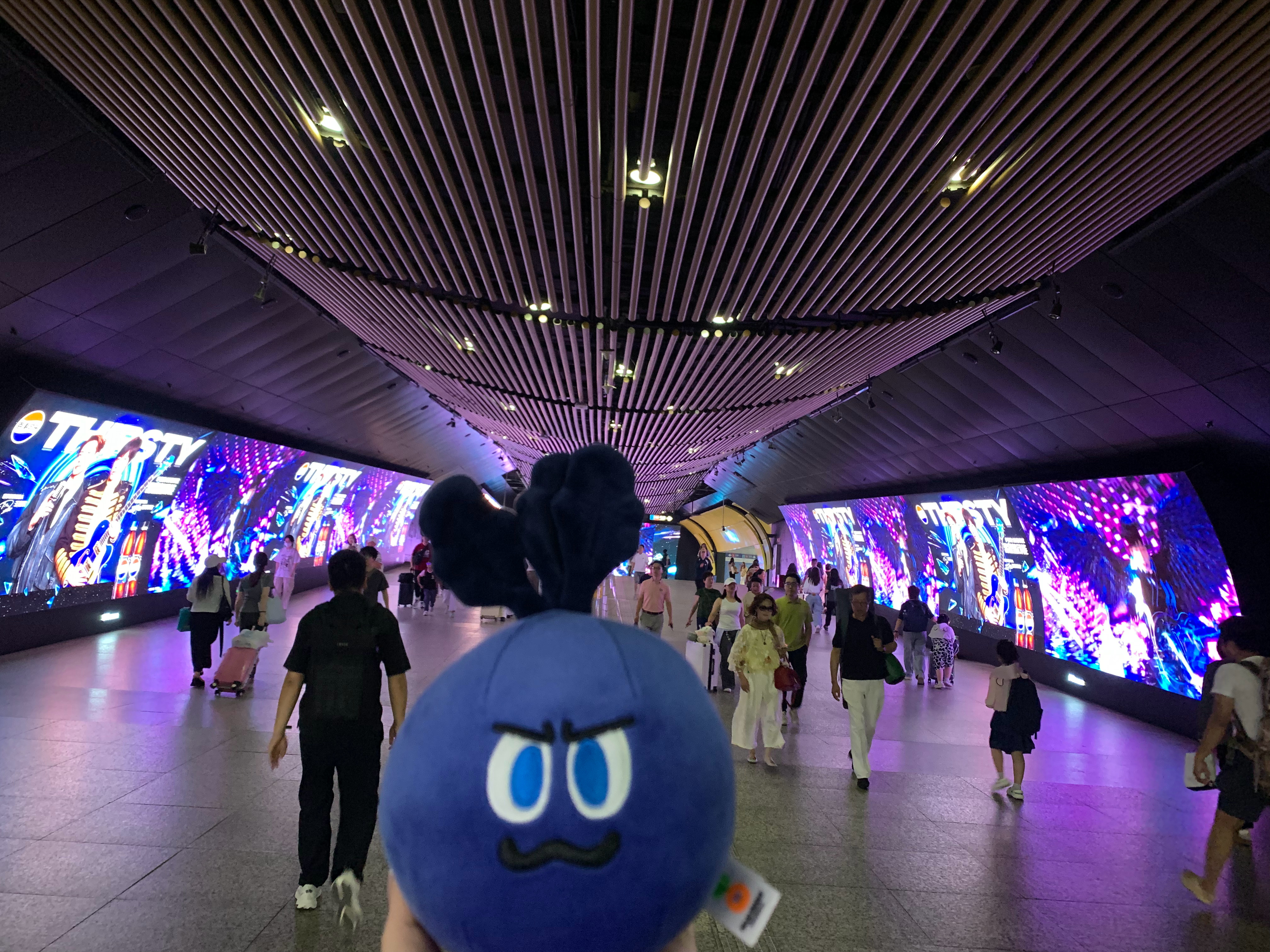帅惨了主唱大人
