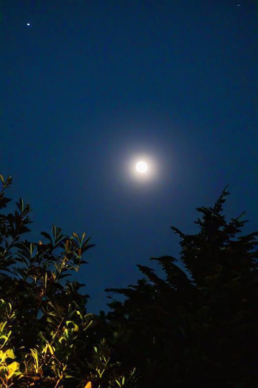 下联：揽月送清风。

（图片来自网络）