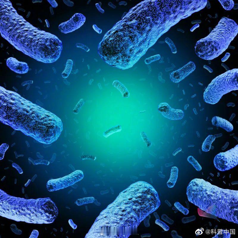 【警惕！冰箱里暗藏"隐形杀手"--李斯特菌】李斯特菌属于革兰氏阳性菌，它可以穿透