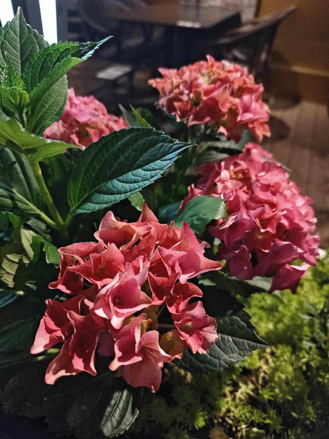 春天是最美的季节