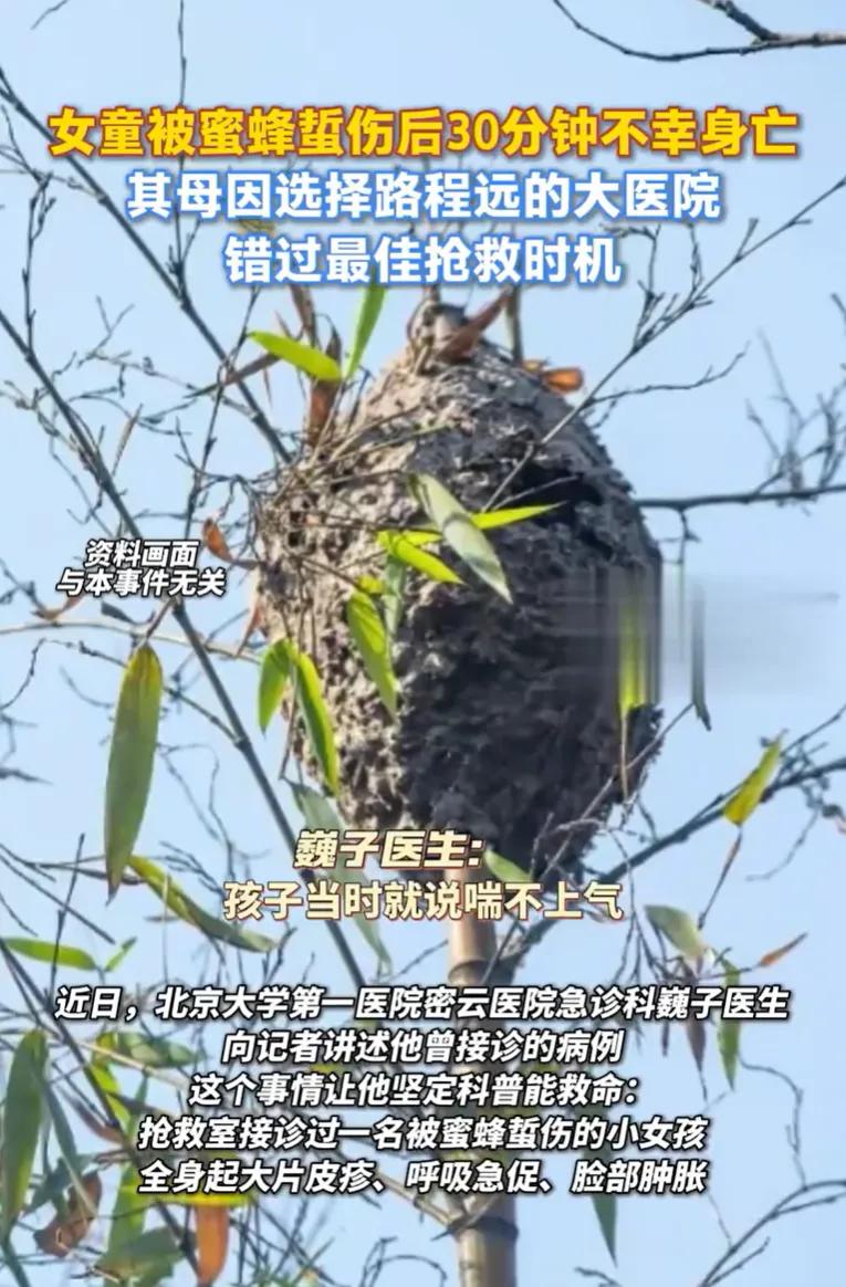 悲剧！北京一名女童被蜜蜂蜇伤，其母亲未选择3分钟可达的社区医院，却驾车赶往30分