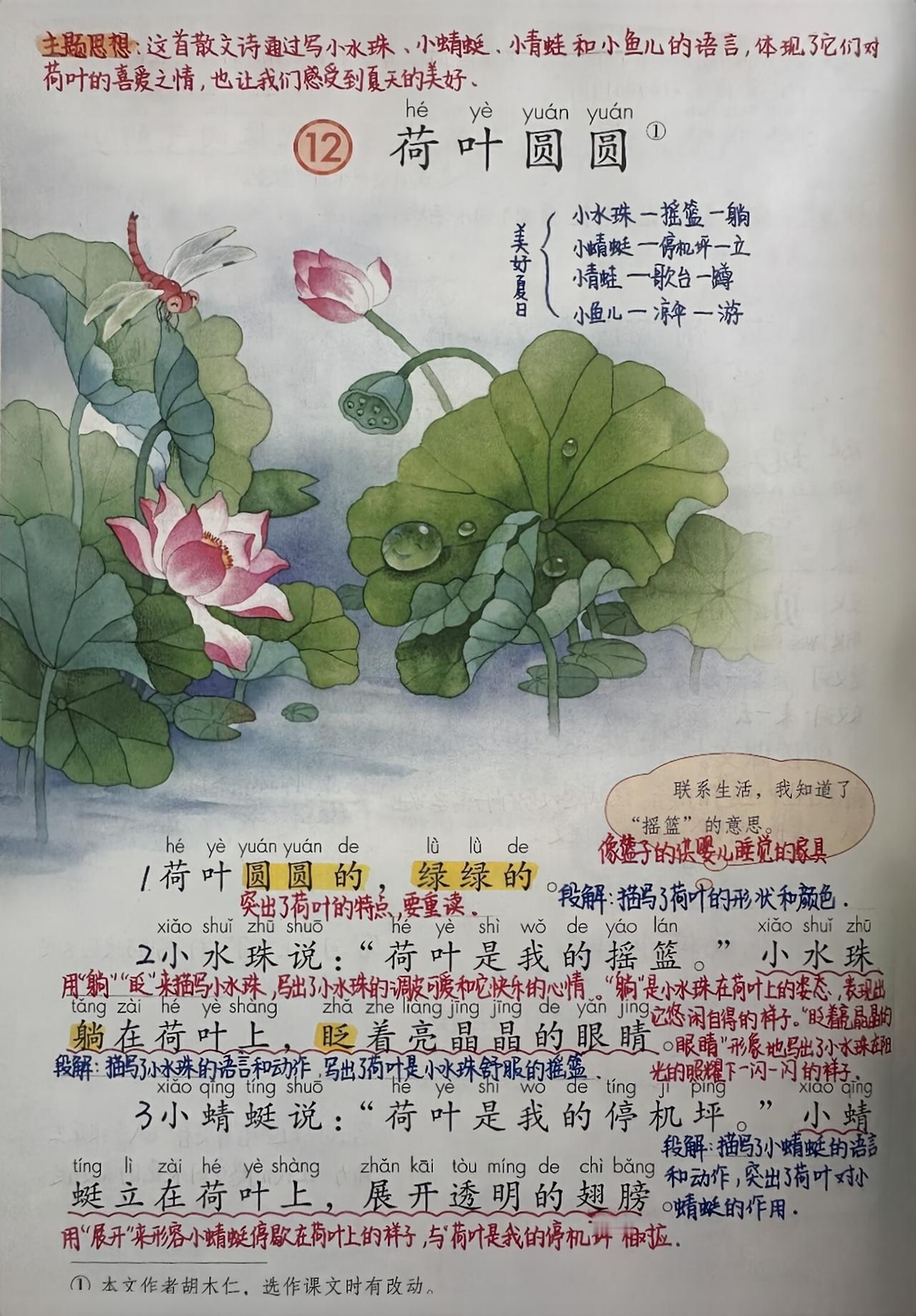 一年级下册语文，第六单元阅读12《荷叶圆圆》课堂学习笔记，收藏复习一年级语文