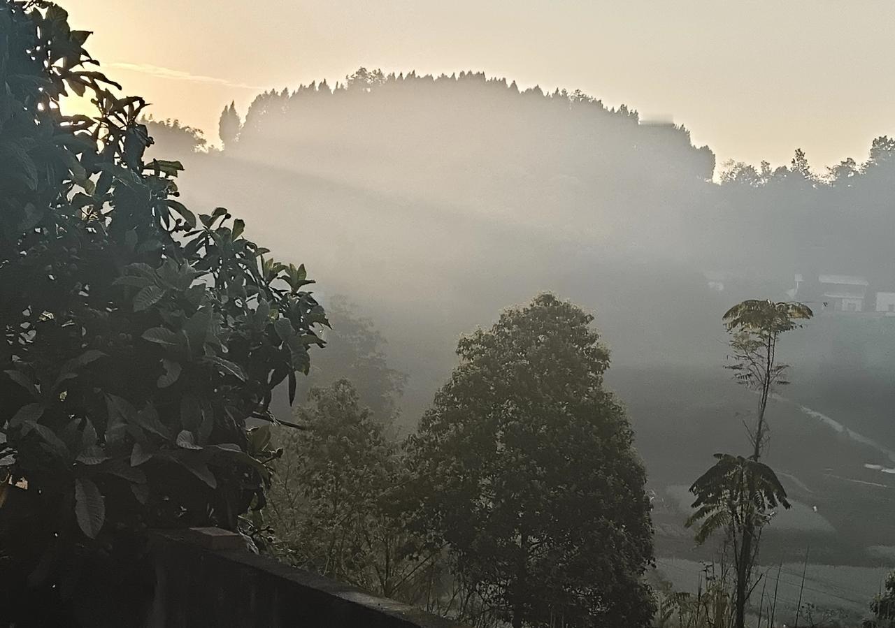 清明.心语
今日感悟

细雨为墨，
将思念演绎成生生不息的诗。

坟莹前的火光，