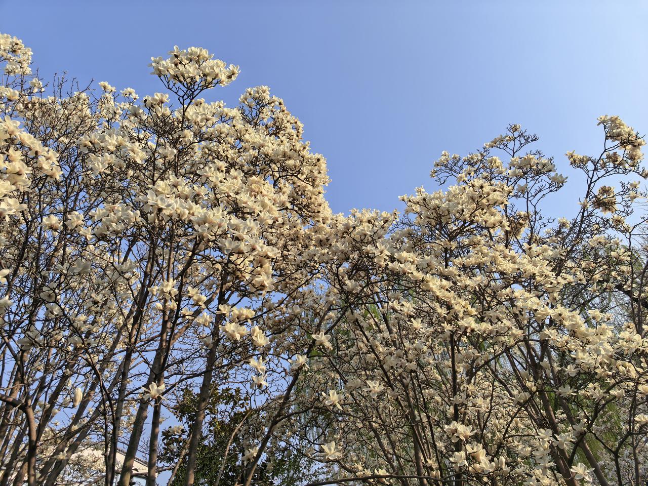 努力学习，不断突破。