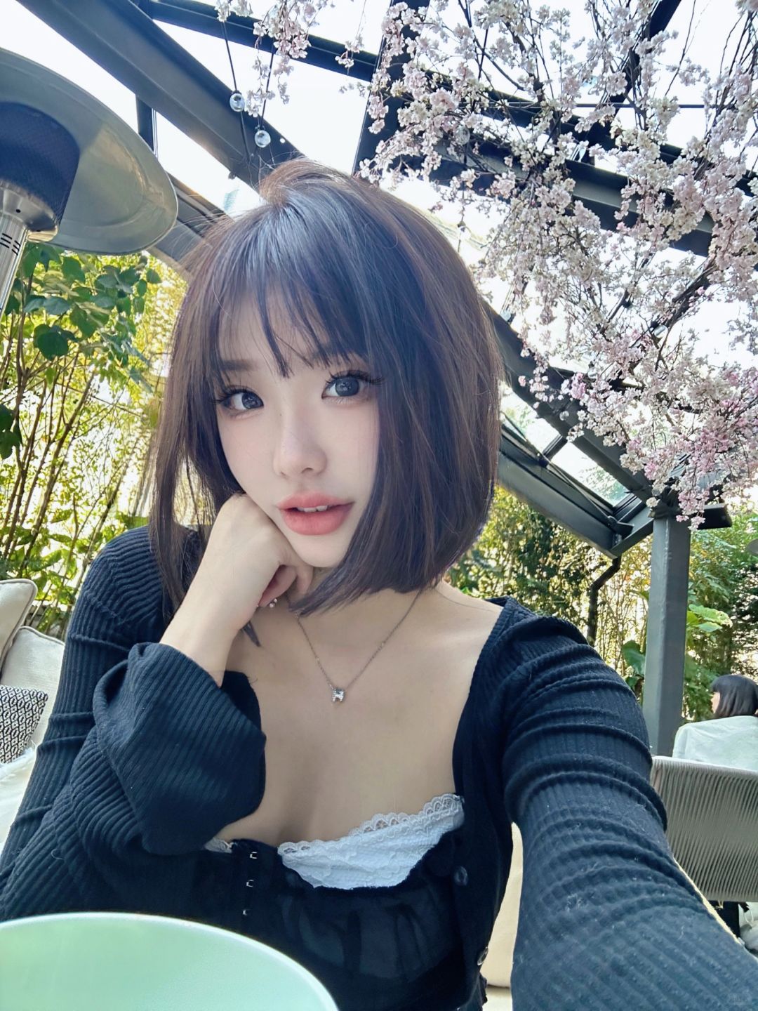 hi 东京的樱花开了🌸