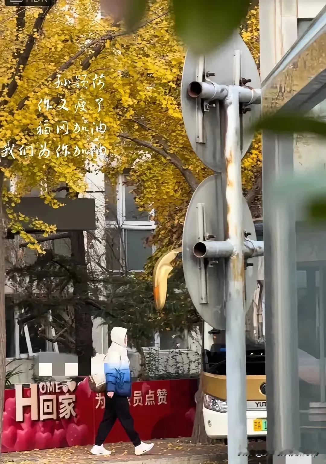 孙颖莎体育总局公寓门口乘大巴去训练
北京满树的黄叶和奶呼呼的莎莎好适配
上训的莎