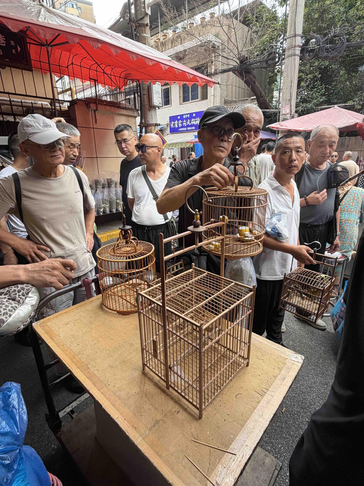 昨天上午，我逛西安档子，走到西仓西巷时，看到一家卖鸟笼的摊子，围着很多顾客，有人