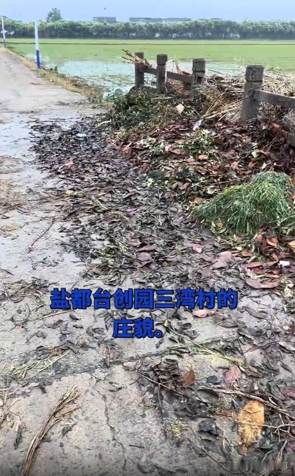 盐都区台创园三湾村村内主干道两侧堆积大量枯枝落叶、杂草杂物，河道护栏周边散落塑料