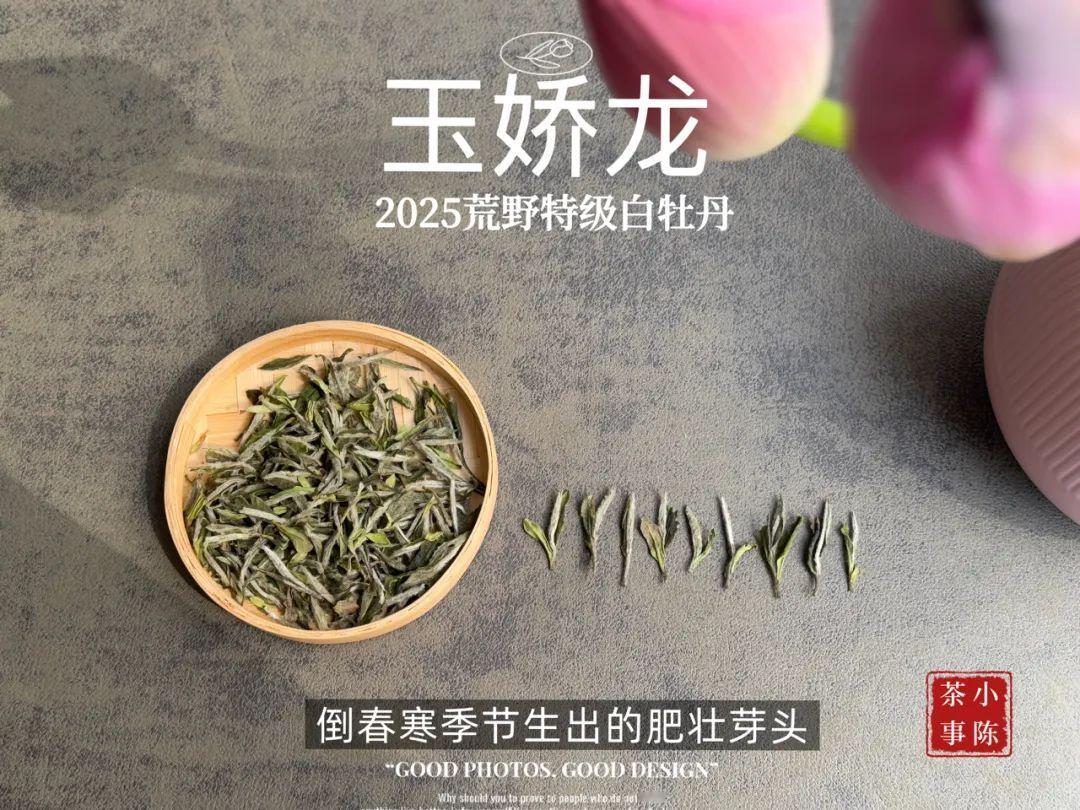 喝白茶要加料吗？
好白茶，千万别乱加料。
白茶的珍贵，贵在本味。
新茶鲜爽、老茶