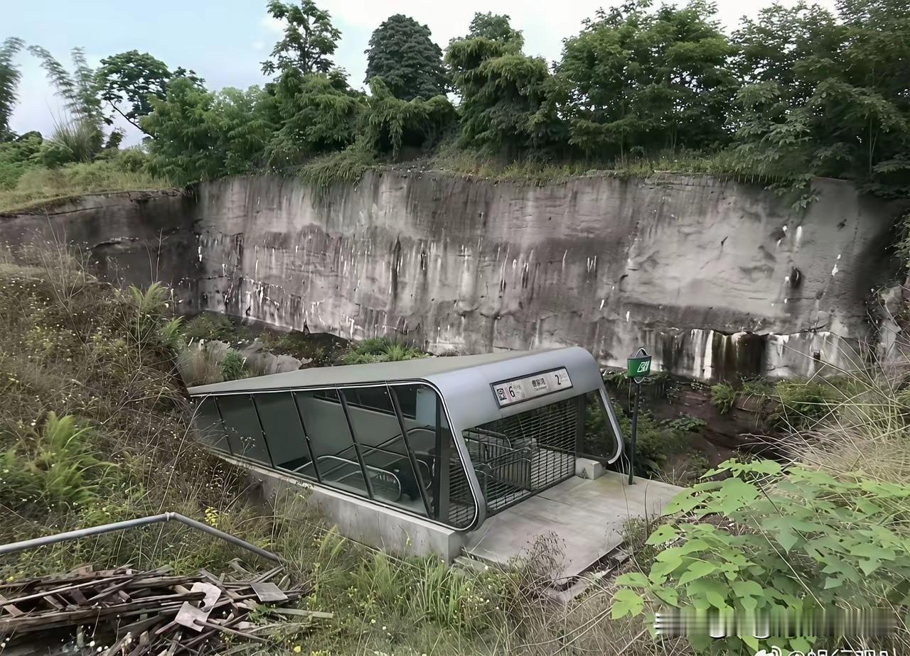 我家门口也是地铁站
请问你知道这个是什么站吗？
听说离地铁站近出行方便
可是我从