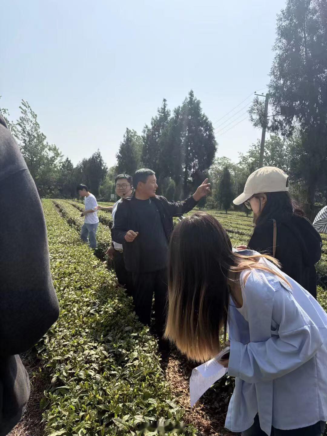 暑假社会实践三下乡【管理学院暑假社会实践】探寻茶乡文脉底色，调研绿茶振兴路径曲阜