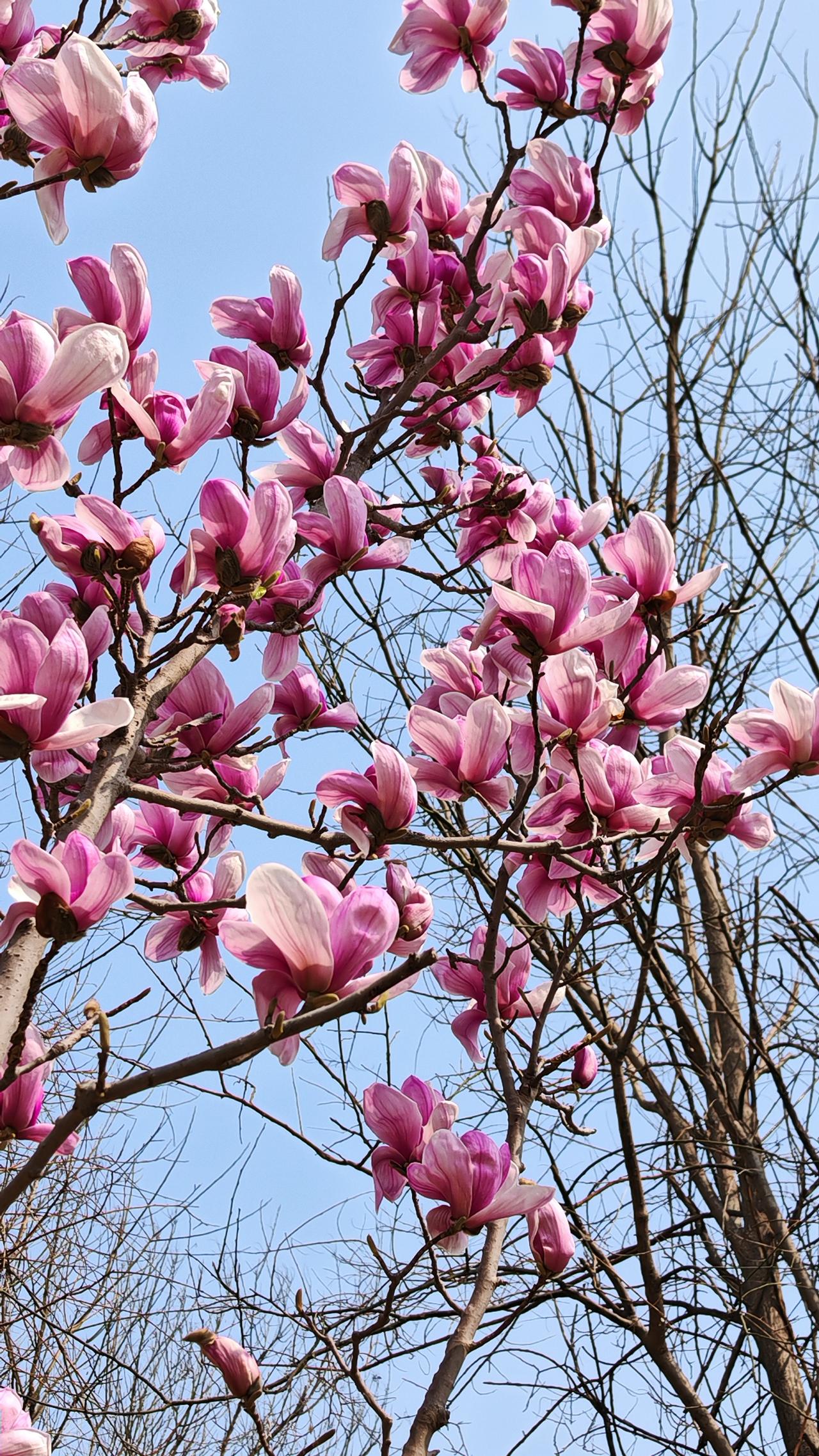 90%的女人都不知道，最值得让你骄傲的是什么？

一个女人最值得骄傲的，从不是旁