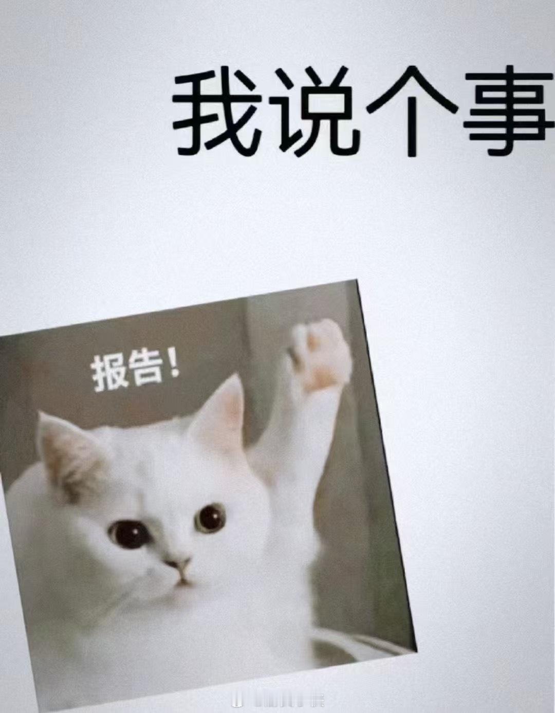 交易笔记今日更新[春游家族] ​​​