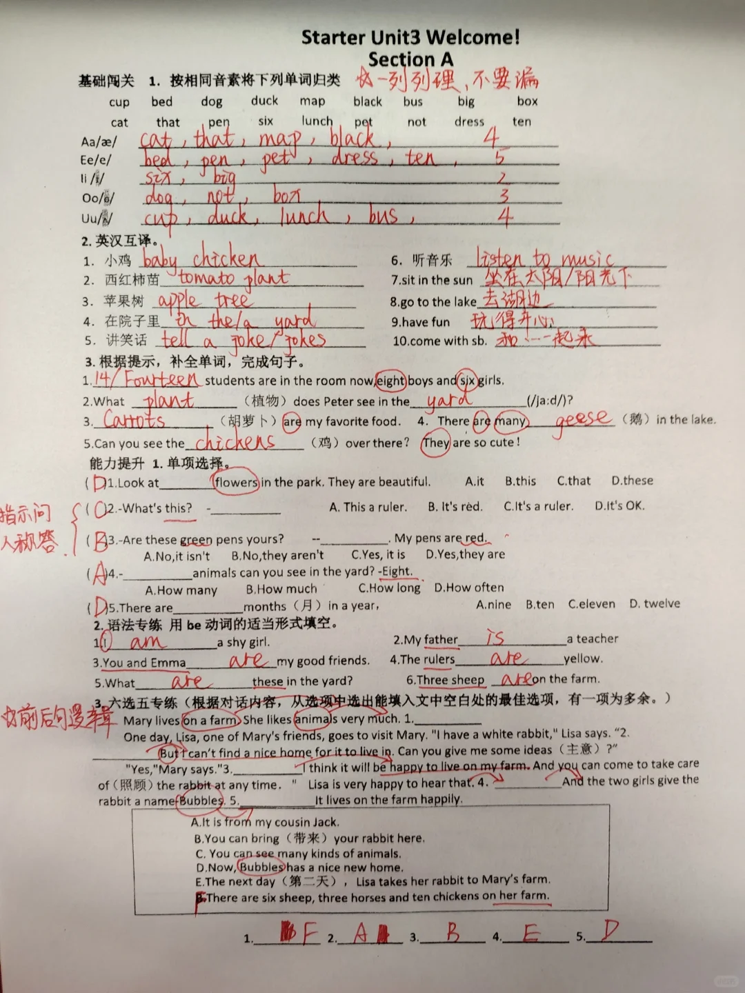 七上新教材人教版｜starter unit3小卷