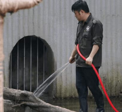 奇三妹为什么总是爱欠欠的去撩好奇妈妈呢？原来是她有一个更欠的亲外公。
在外公的言