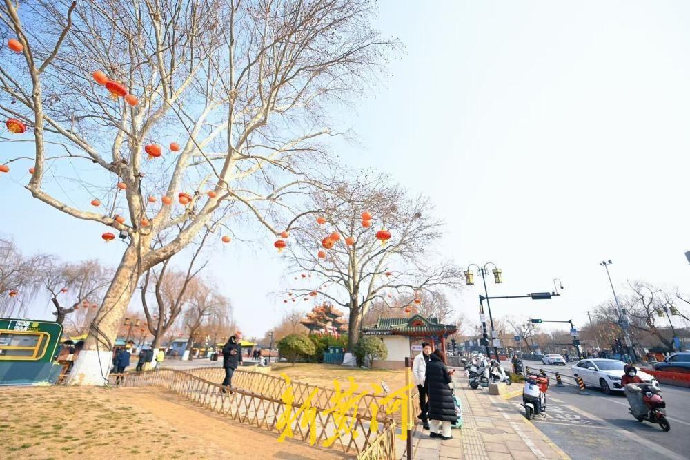 大红灯笼高高挂，济南大明湖畔春节氛围拉满！1月28日，春节临近，济南大明湖路以及