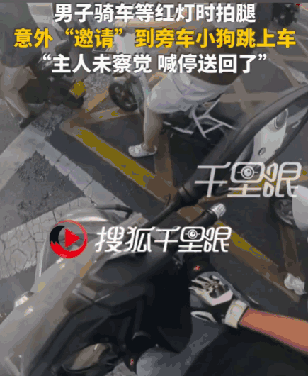 拍腿就是暗号！河南，一男子骑车等红灯，因天气炎热，他下意识地拍了拍大腿。没曾想，
