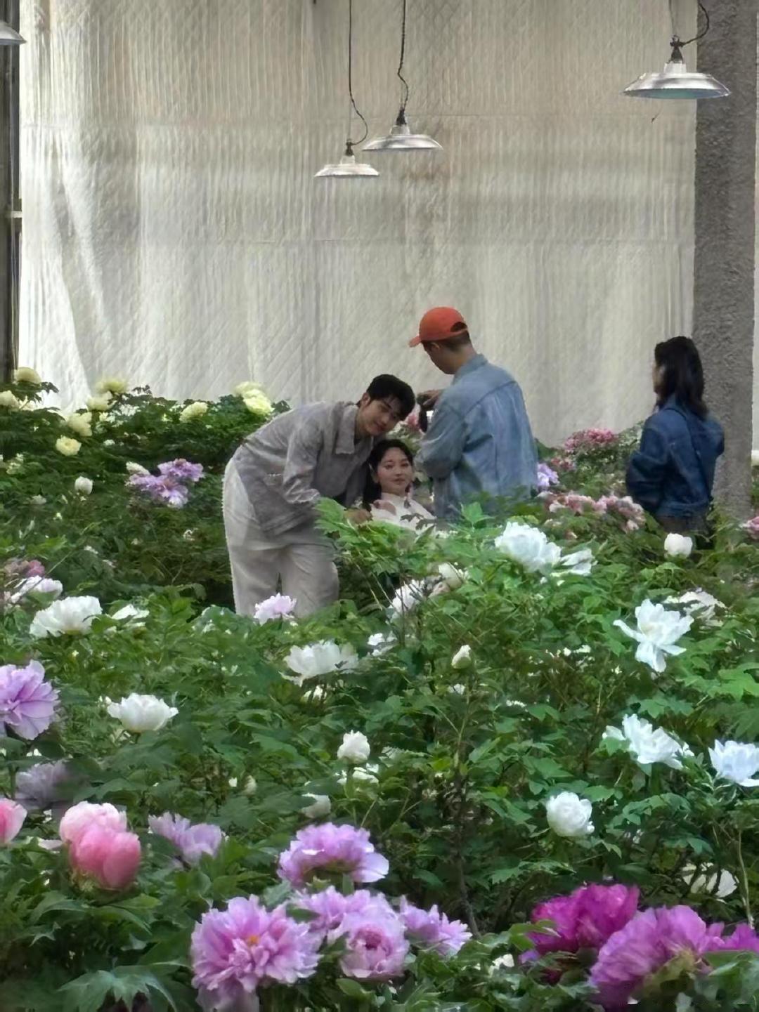 金莎腿怎么了网友偶遇金莎坐着轮椅金莎腿受伤了 浪漫旅程遇上小波折，金莎腿部受伤坐
