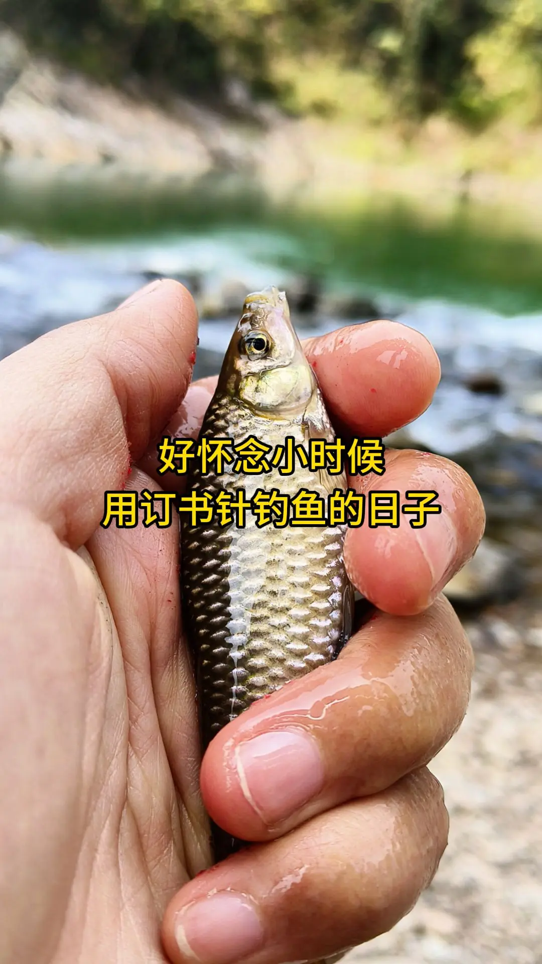 好怀念小时候，用订书针钓鱼的日子。