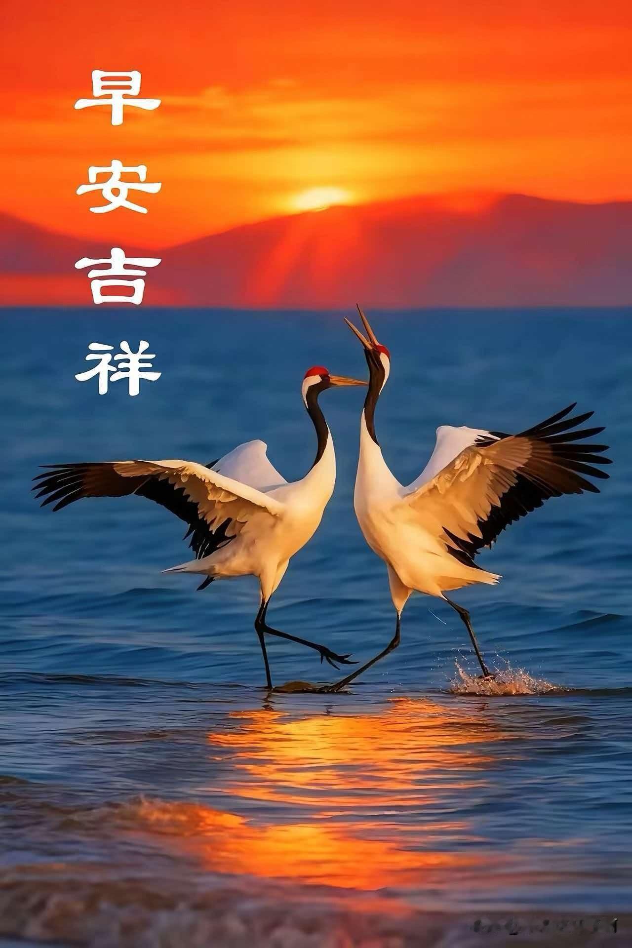 初秋日的那次邂逅，至今仍刻在我脑海。夕阳如金粉洒下，两只鸟儿在光影里翩翩起舞。它
