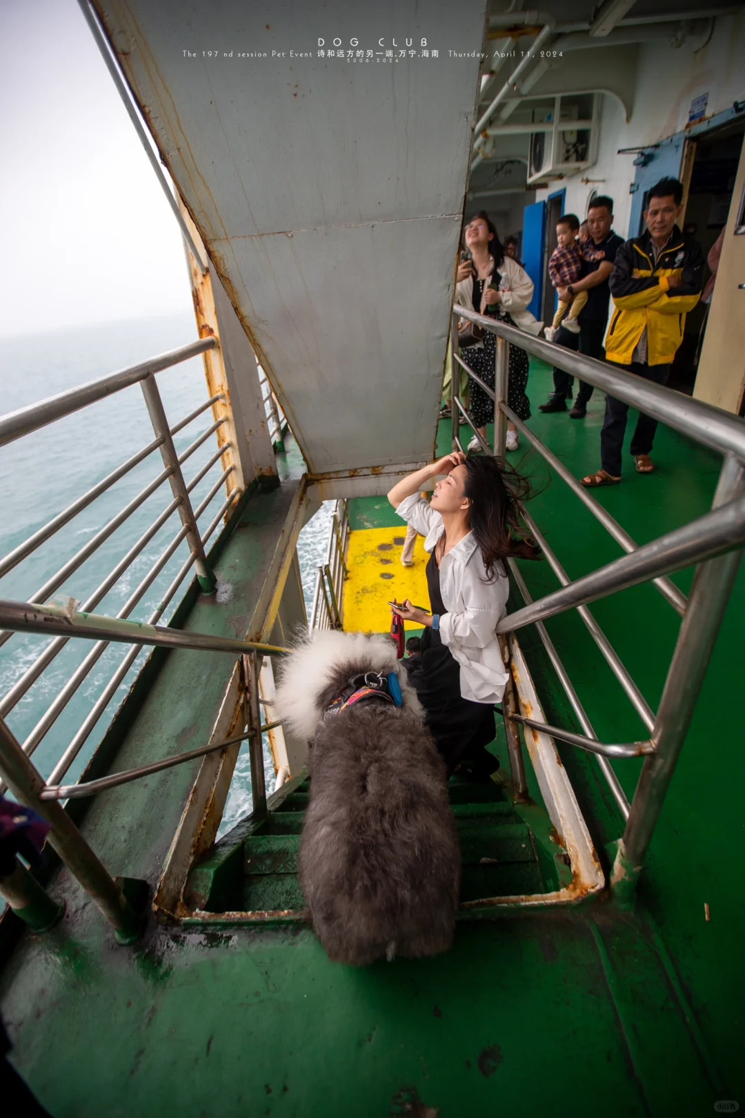 我以为带他去看海，其实是它陪我看世界