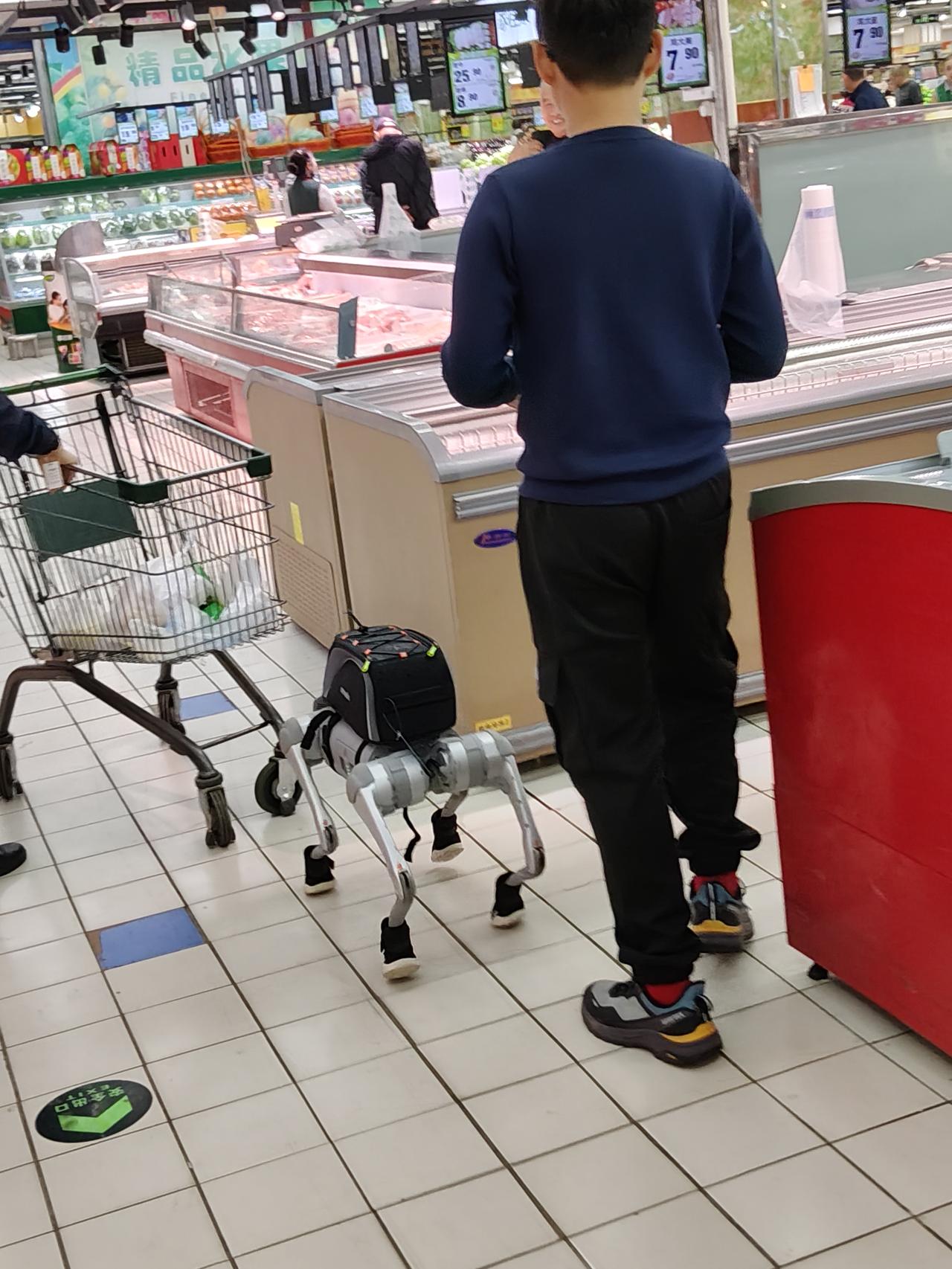 现在的孩子玩得越来越高级了
逛超市时，一只活灵活现的电子狗吸引了我，一个男孩正拿