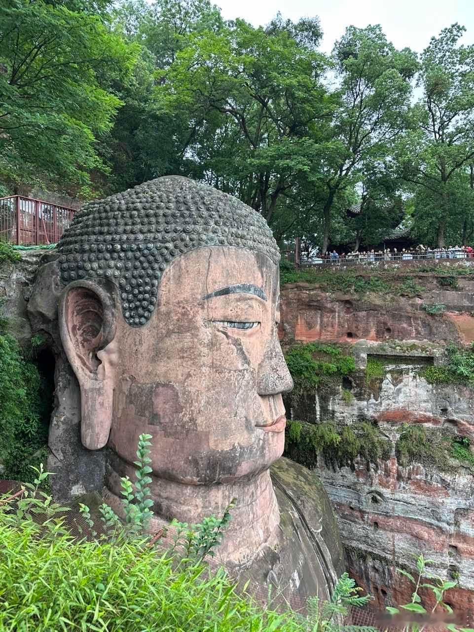 #网友为过科目二去乐山抱佛脚#这祈福式旅行玩得太溜了！简直是把传统文化和现代生活