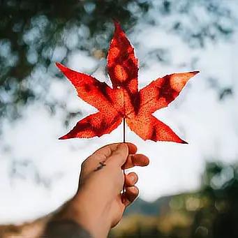 人生最大的财富是什么？这个问题或许困扰了许多人。在我们的人生旅途中，金钱、名利、