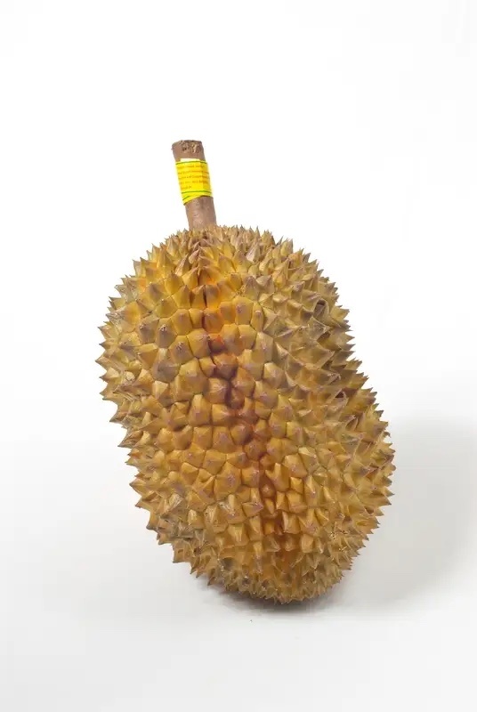 榴莲价格迎大跳水 榴莲自由真的要来了！最近榴莲价格大跳水，一斤能便宜10块钱。背