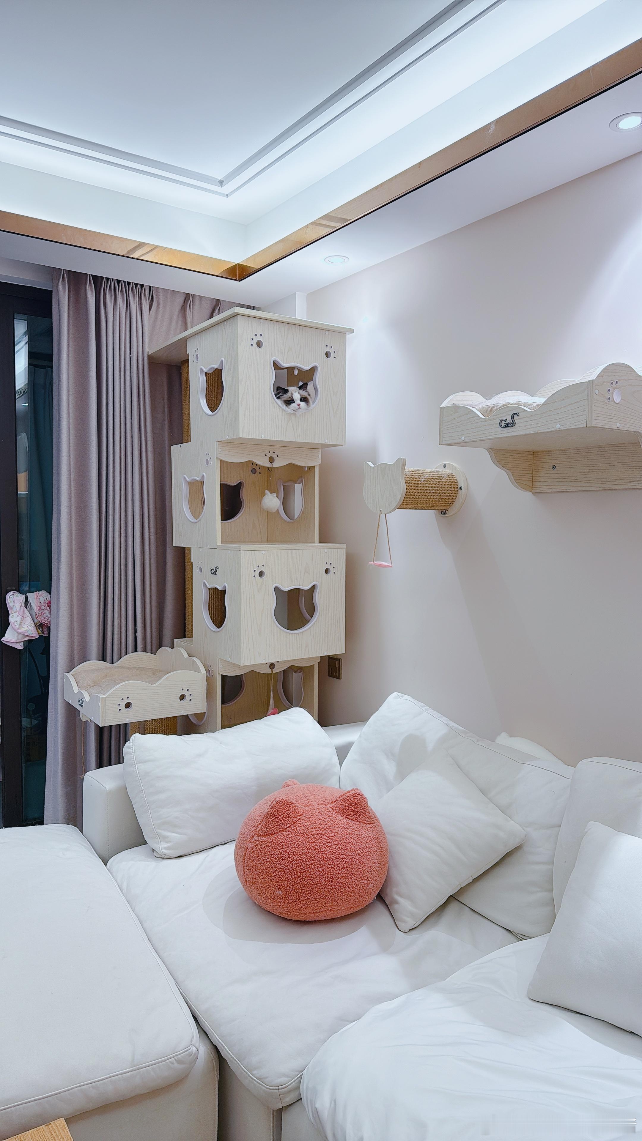 担心我不在大猫打小猫，匆忙回家。一进门： ​​​