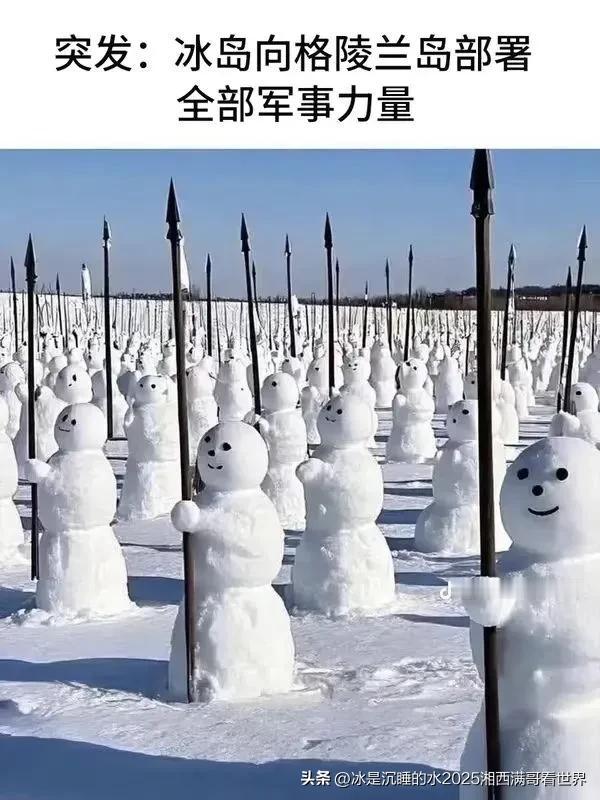 貌似强大无比的丹麦🇩🇰以及欧洲联军信誓旦旦要保卫格陵兰岛，或许美国特朗普大统