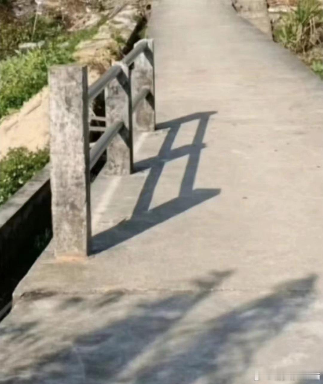 我今天素面朝天就出门了，路边的栏杆说我丑[允悲][允悲] ​​​