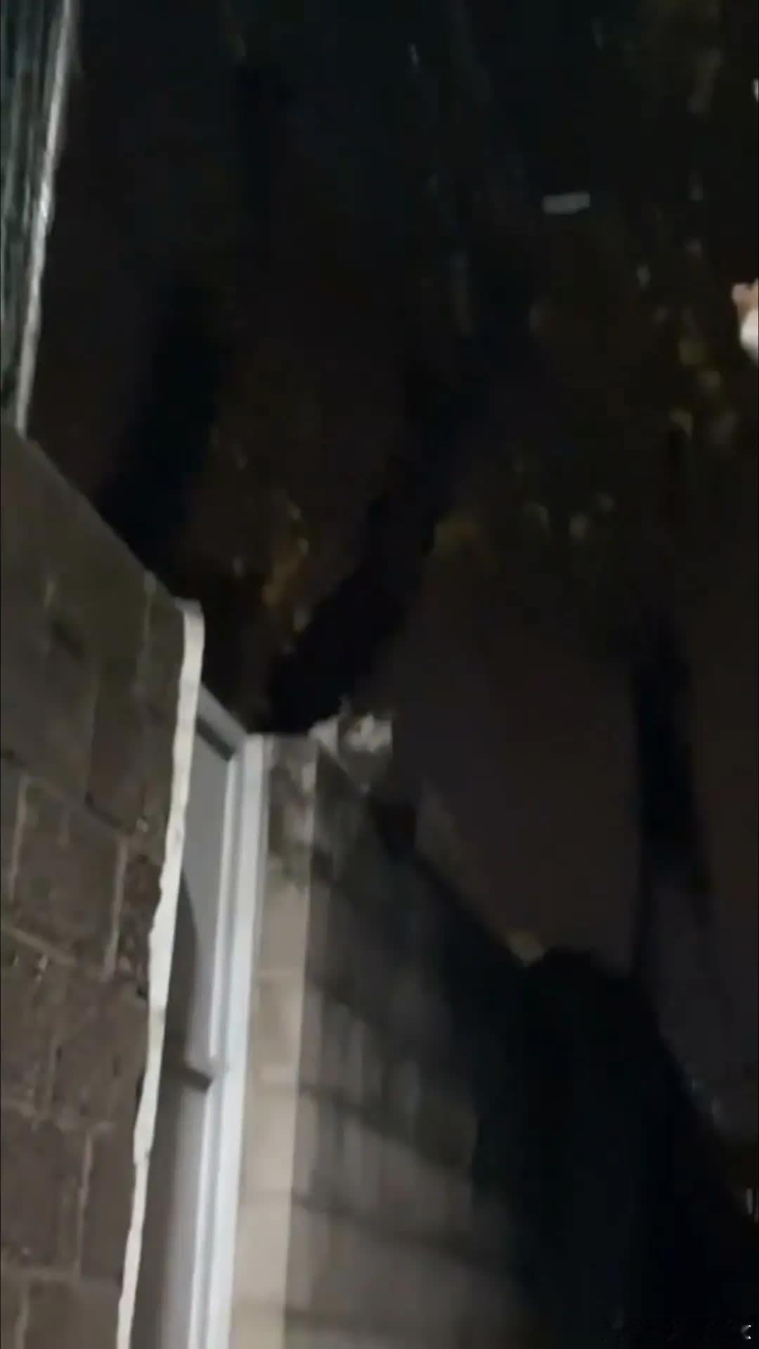 我这是摸到了猫老大？😦萌宠宠物