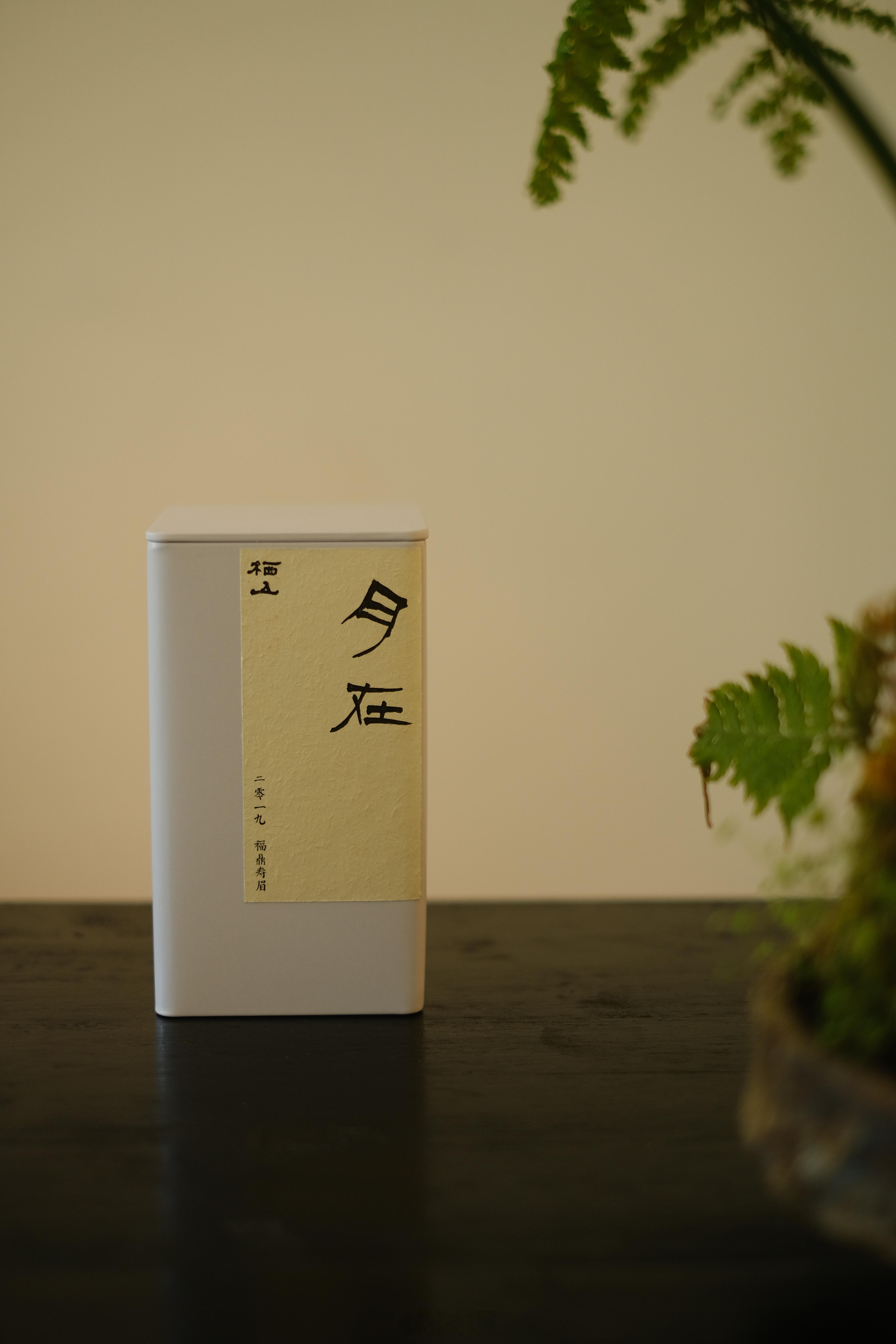 茶汤倒映着窗外的树影天光。 