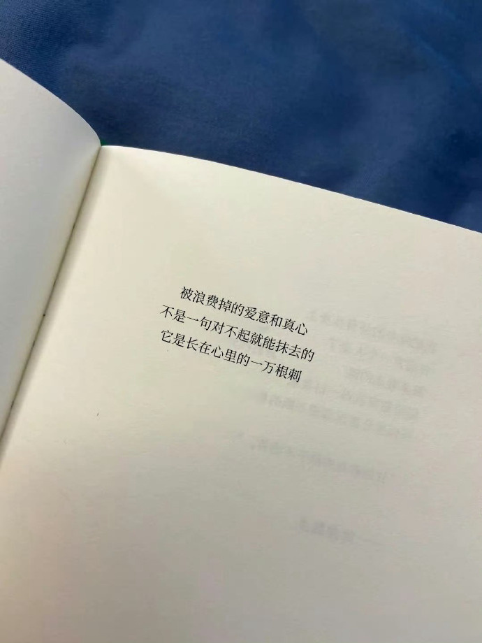 “被浪费掉的真心，是长在心里的一万根刺。” 