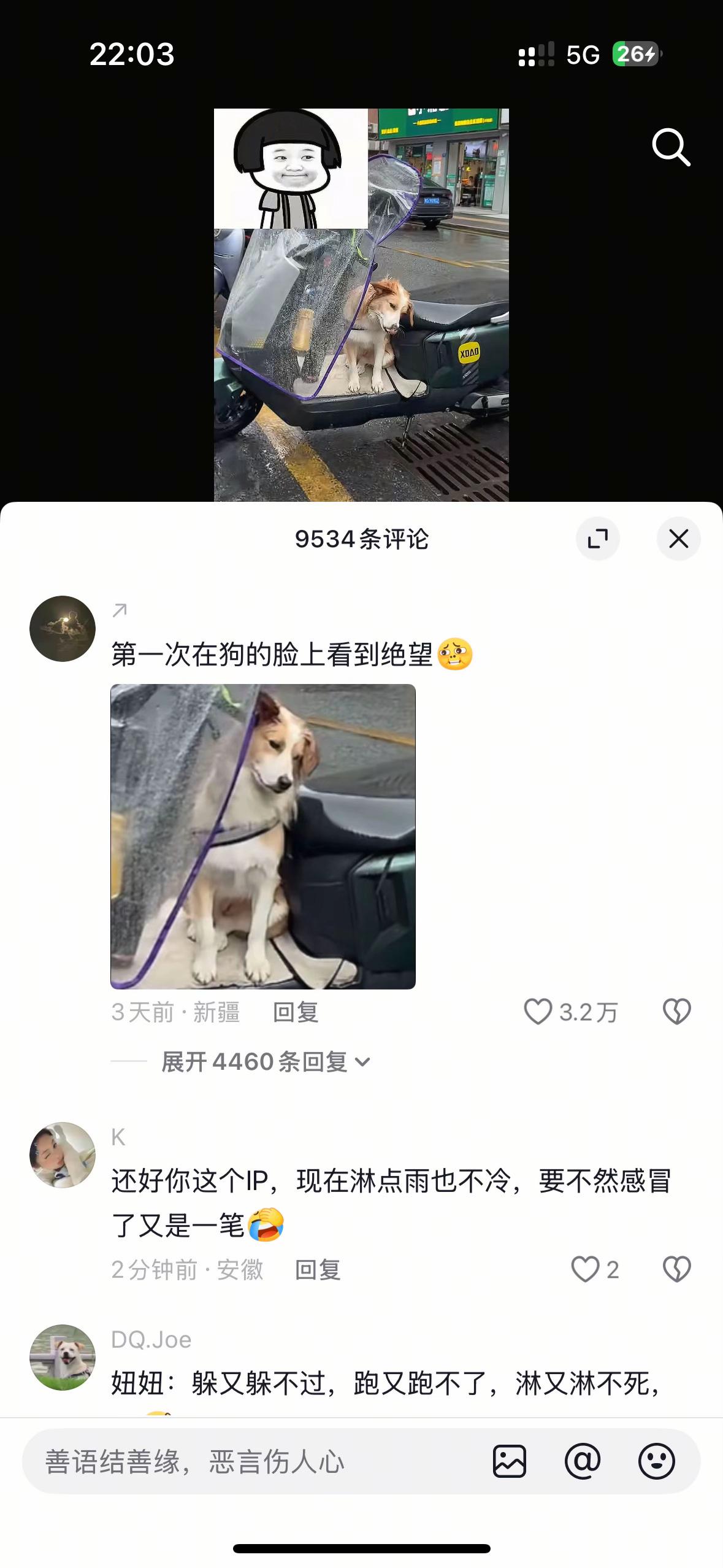 哈哈哈哈，绝望的狗子